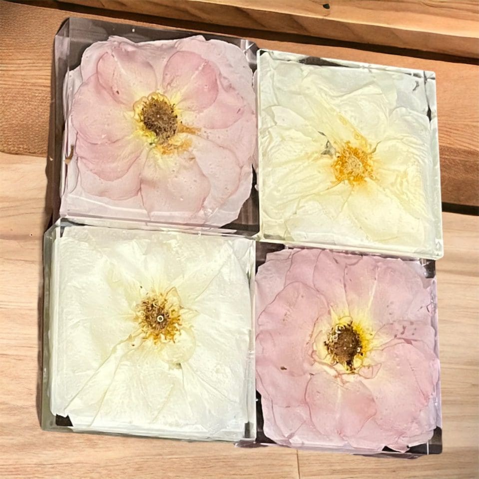 Four pink and white flowers in a box.